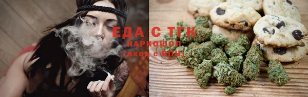 прущие грибы Горняк