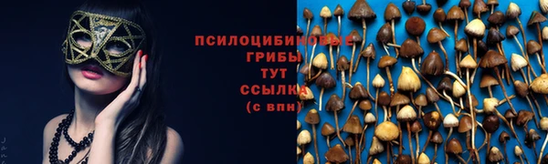 ALPHA-PVP Вяземский