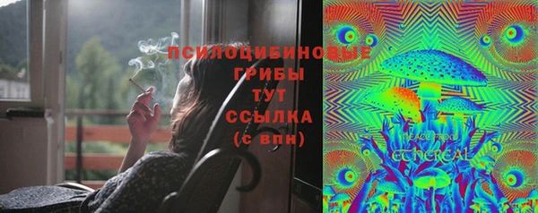 spice Вязьма