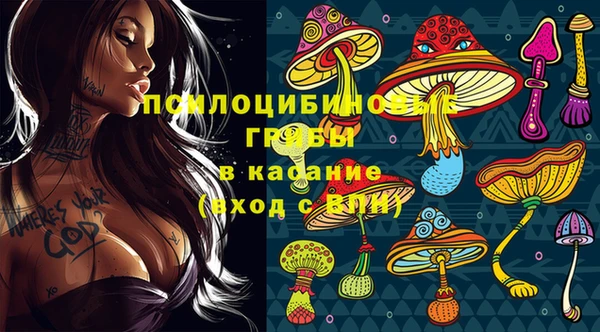 прущие крисы Вязники