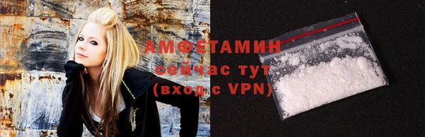 прущие грибы Горняк