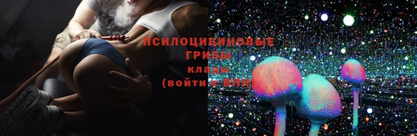 прущие крисы Вязники