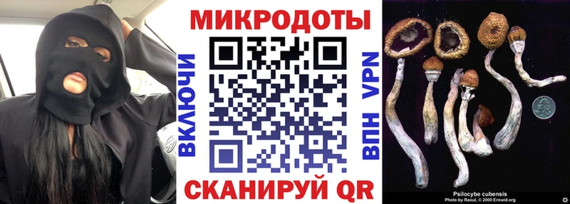 Галлюциногенные грибы MAGIC MUSHROOMS продажа наркотиков Дмитров